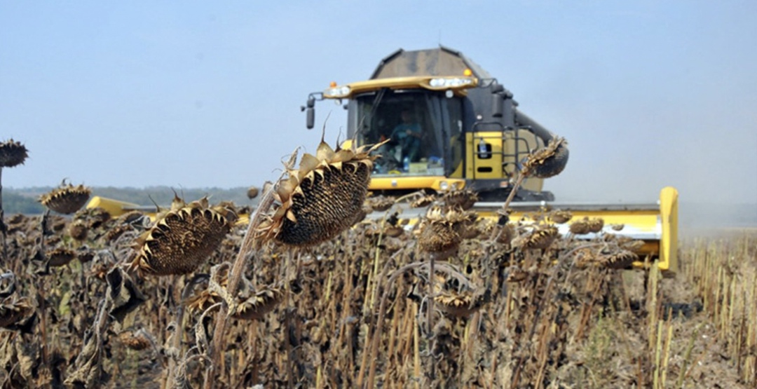 Согласно новому опросу аналитиков от Центра ценовых индексов, по сравнению с февралем повышены оценки сбора подсолнечника в новом сезоне — с 16,5 млн т до 17,3…
