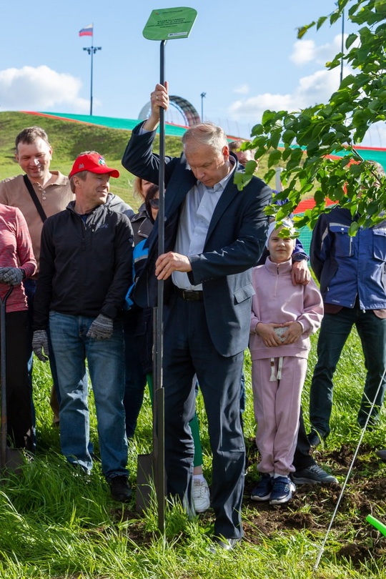 Аллея будущего. В Притяжении появились липы ММК-Информсервис