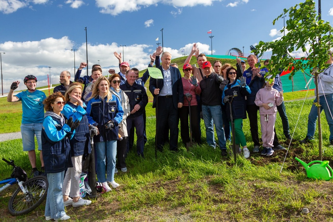 Аллея будущего. В Притяжении появились липы ММК-Информсервис