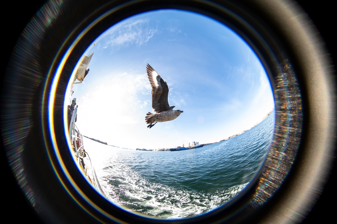 Антарктида «глазами» объектива «Швабе»