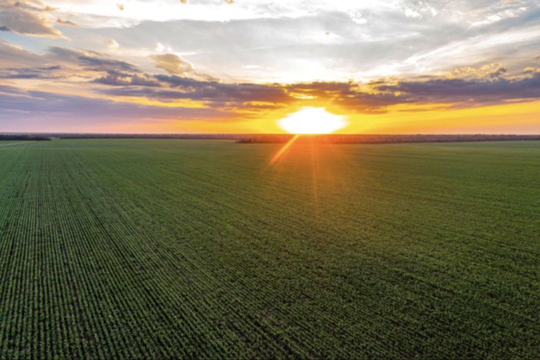 Инвестиционный потенциал проектов в сфере АПК на Северном Кавказе в ближайшее шесть лет оценивается в 192 млрд руб. Перспективными являются проекты по развитию…