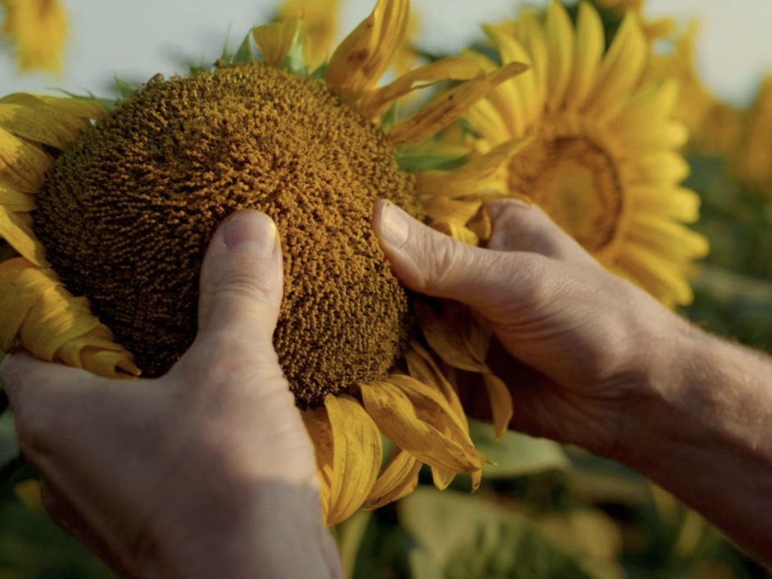 Управляющий партнер селекционно-семеноводческой компании Ruseed Марк Гехт в ходе встречи президента Владимира Путина с представителями российских деловых…