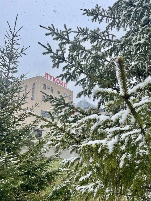 Когалым — город без иллюзий - Вам мерещится белочка? Видится снег в конце мая? Значит, вы в Когалыме!