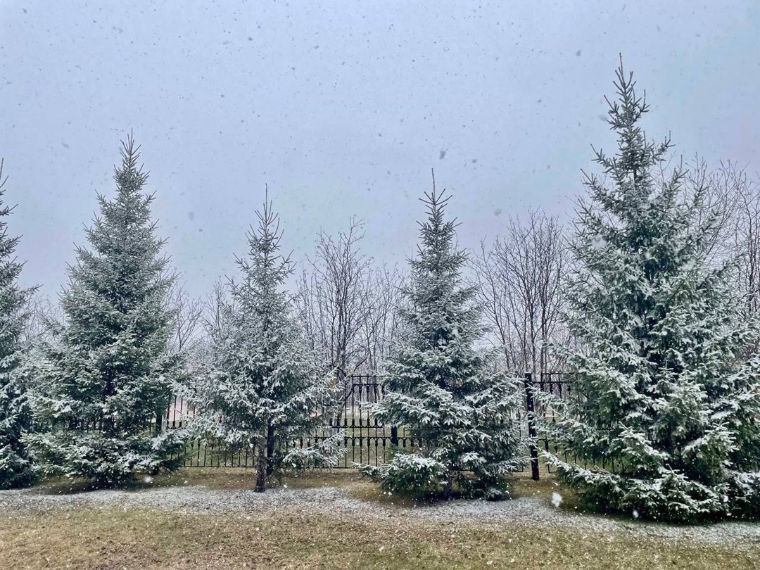 Когалым — город без иллюзий - Вам мерещится белочка? Видится снег в конце мая? Значит, вы в Когалыме!