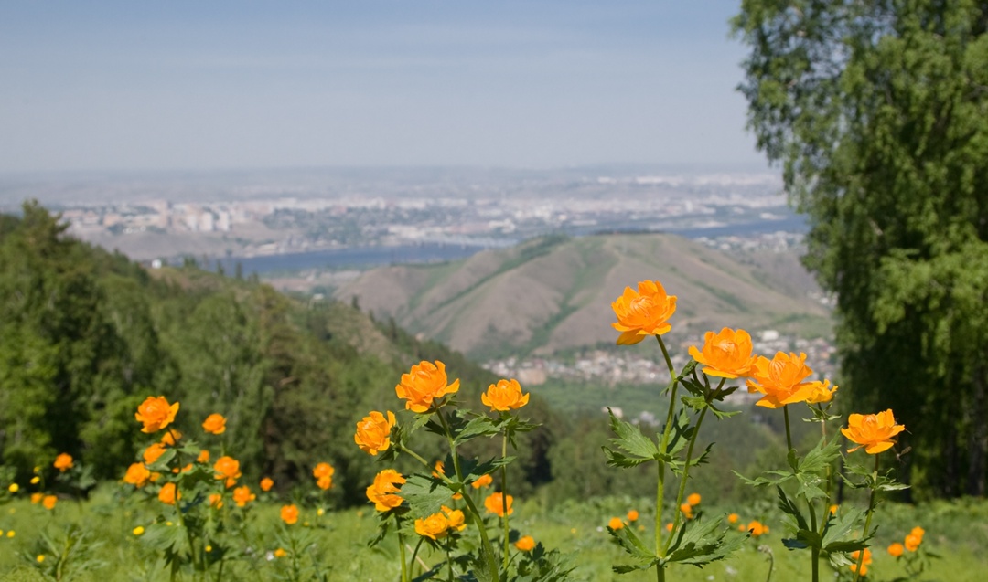 «Норникель» построит в «Бобровом логе» отельный комплекс на 320 номеров