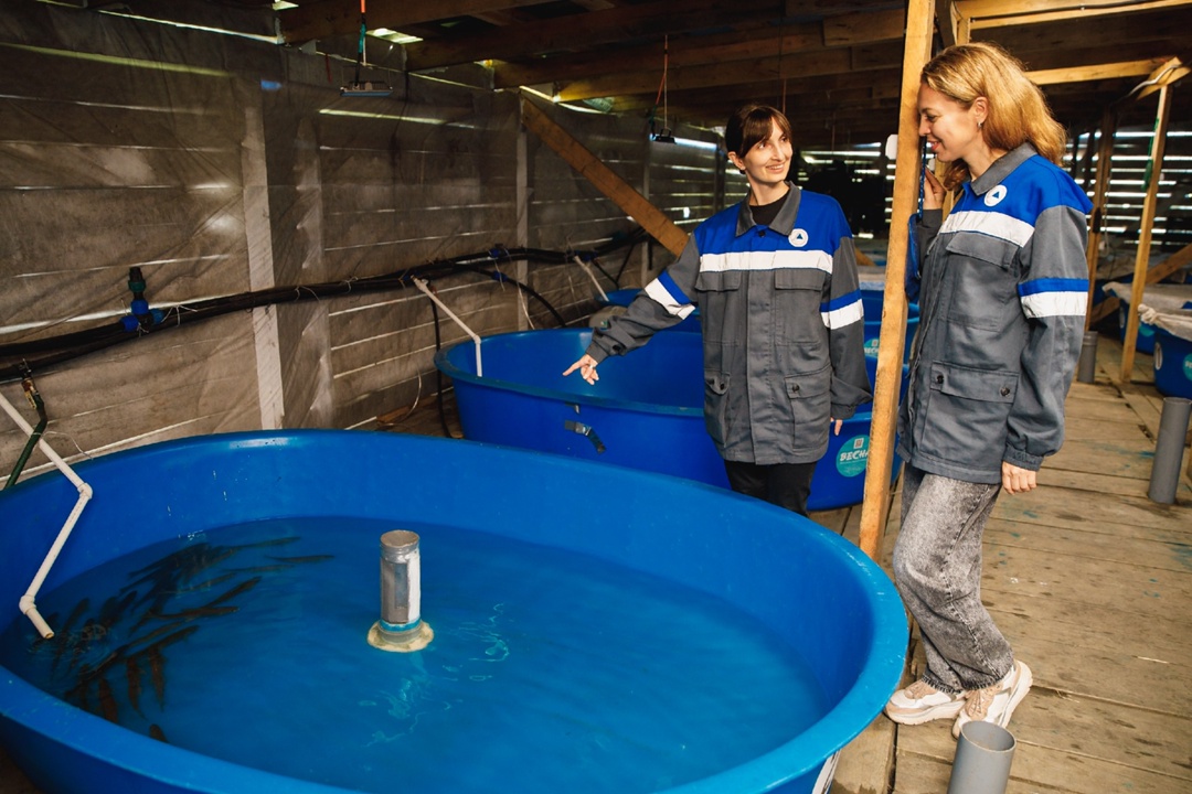 «Рыбов продаете?» Нет, выпускаем! Активно готовимся к экологической акции «Дары сибирским рекам»