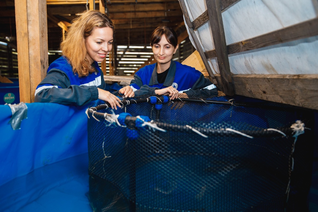 «Рыбов продаете?» Нет, выпускаем! Активно готовимся к экологической акции «Дары сибирским рекам»