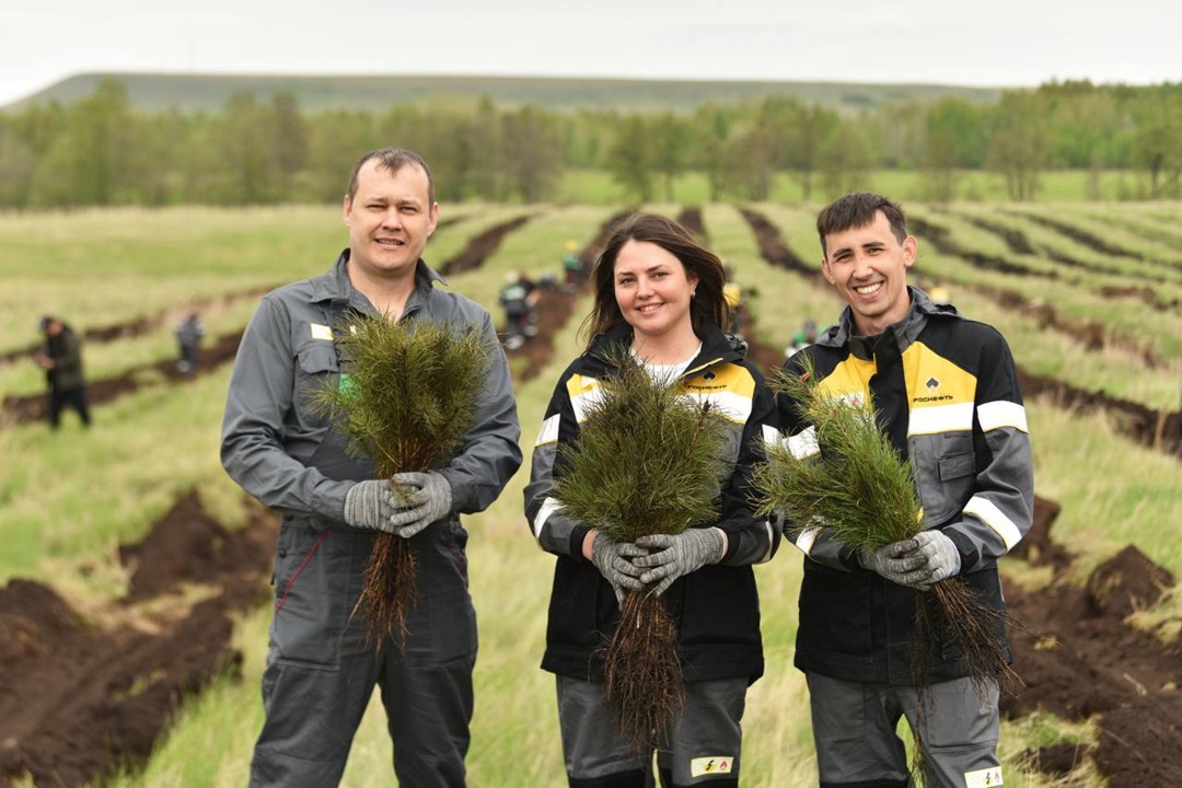 Башкирская жемчужина В Башкортостане сотрудники «Башнефти» высадили более 41 000 саженцев