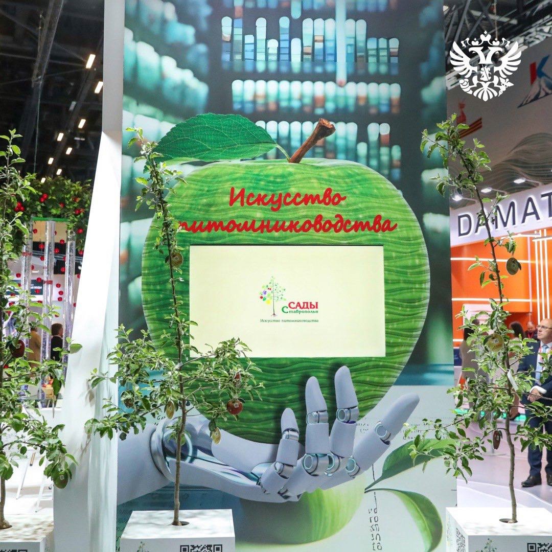 На Кавказском инвестиционном форуме обсудили самые актуальные темы — и креативные индустрии здесь тоже в тренде