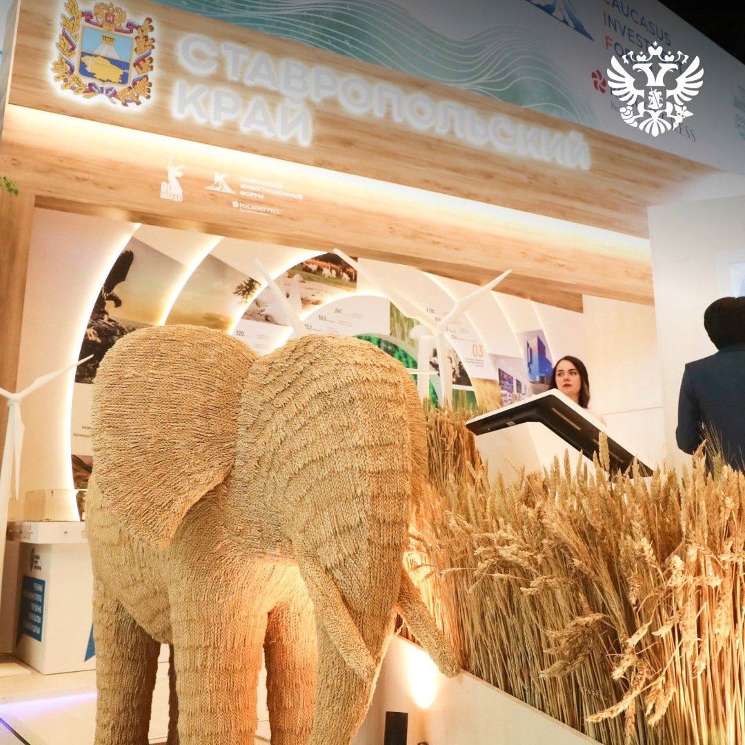 На Кавказском инвестиционном форуме обсудили самые актуальные темы — и креативные индустрии здесь тоже в тренде