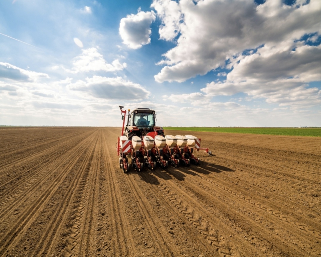 «Агрокомплекс» им. Н. И. Ткачева завершил весеннюю посевную кампанию в оптимальные агротехнические сроки, сообщил «Интерфаксу» директор по растениеводству…