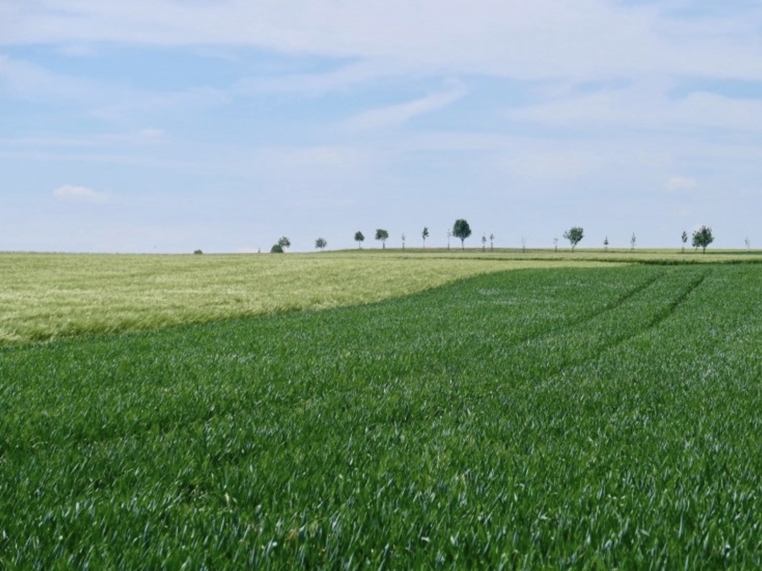 Площадь введенных в оборот сельхозземель по итогам этого года может приблизиться к 3 млн га, рассказал заместитель председателя правительства Дмитрий Патрушев…