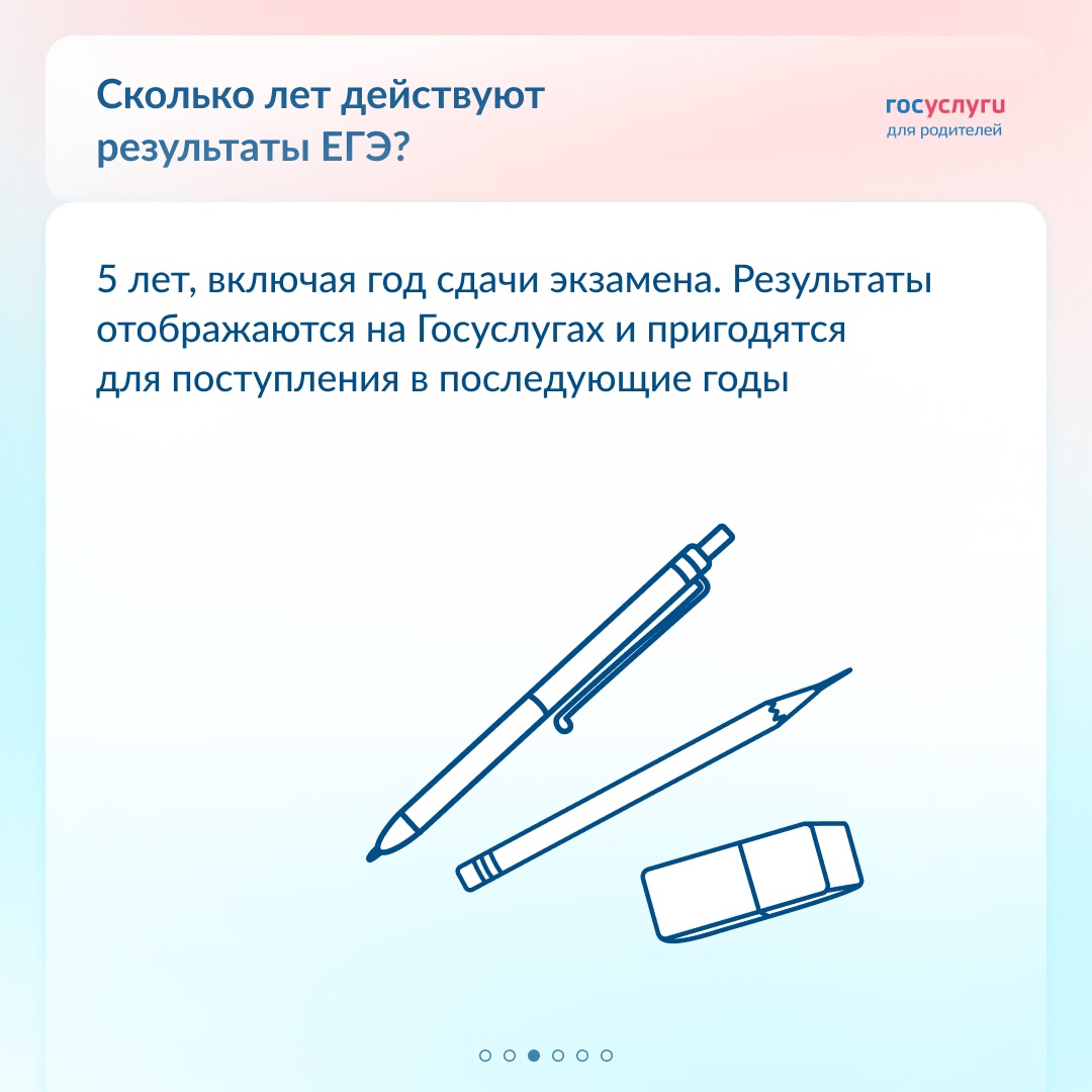 Сканы работ, апелляция и медаль: 6 вопросов про ЕГЭ
