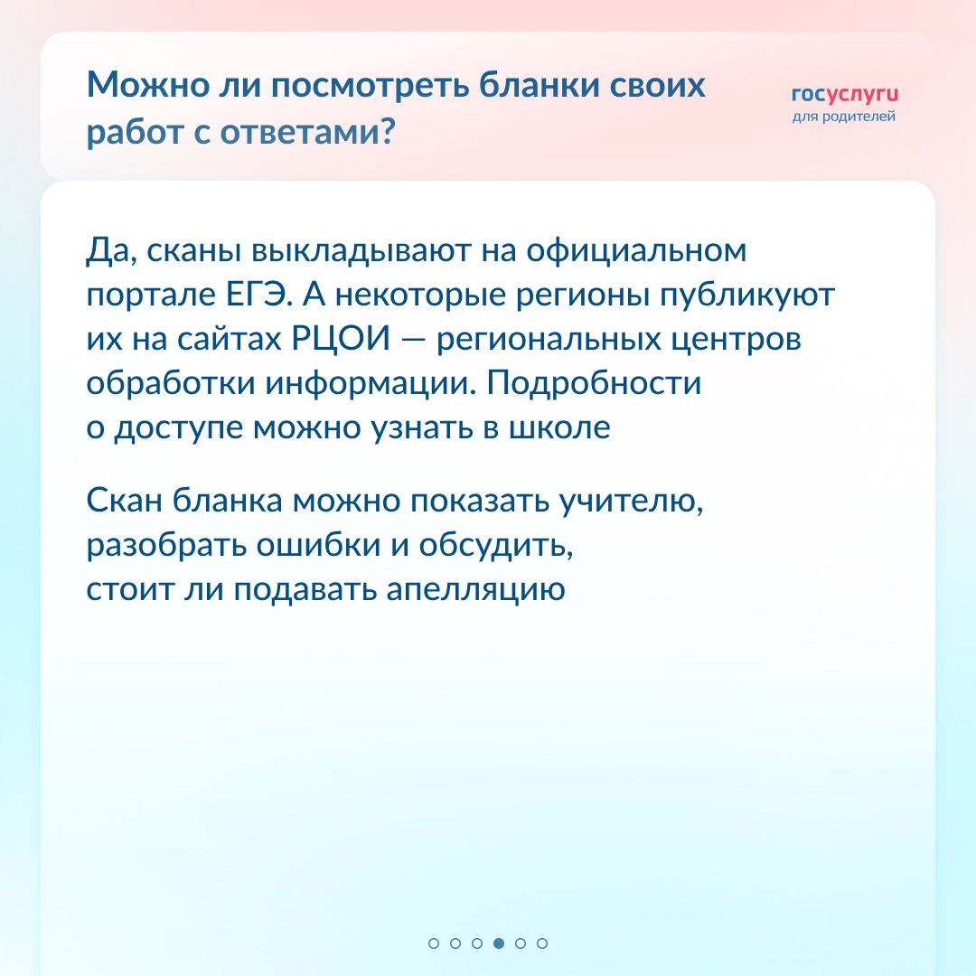 Сканы работ, апелляция и медаль: 6 вопросов про ЕГЭ