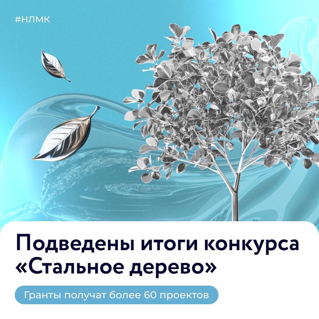 Социальный партнер НЛМК — благотворительный фонд «Милосердие» — объявил победителей грантового конкурса «Стальное дерево». В этом году на него было подано 452…