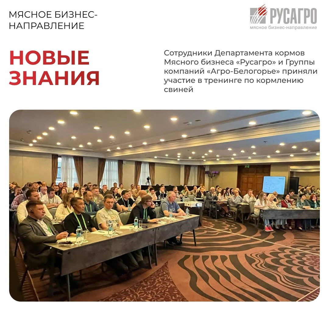 Сотрудники Департамента кормов Мясного бизнеса «Русагро» и Группы компаний «Агро-Белогорье» приняли участие в тренинге по кормлению свиней, который прошел в…