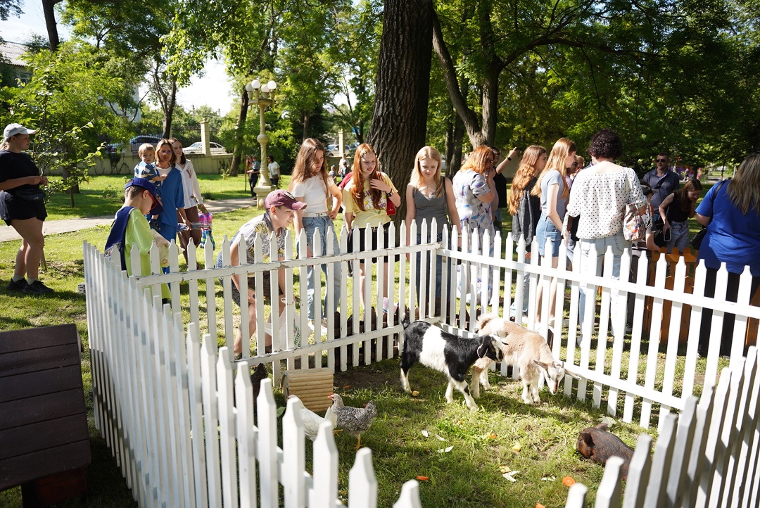 Корабли, джипы, лошади и не только — большой праздник для детей
