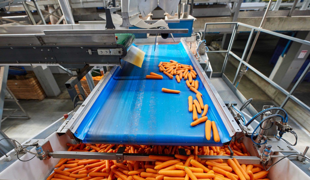 «Мираторг» сообщил о двукратном увеличении объема глубокой переработки овощей на специализированном предприятии в Тульской области. По сравнению с предыдущим…