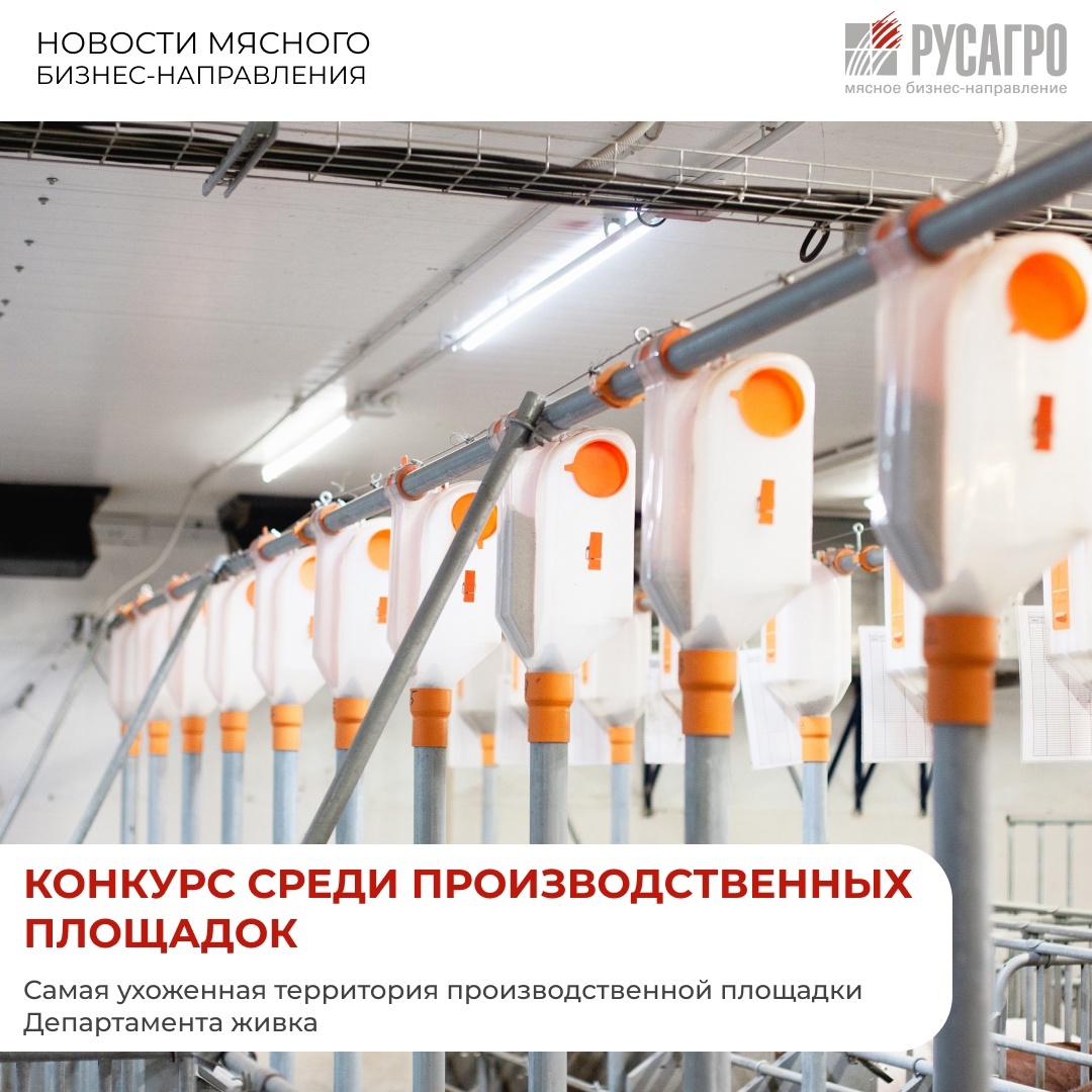 Мясное бизнес-направление «Русагро» объявляет конкурс на самую ухоженную территорию среди производственных площадок во всех регионах присутствия бизнеса.