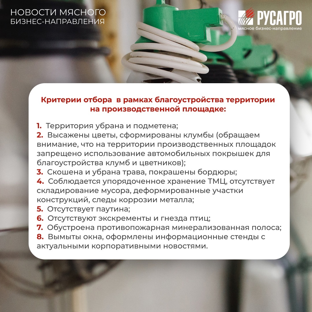 Мясное бизнес-направление «Русагро» объявляет конкурс на самую ухоженную территорию среди производственных площадок во всех регионах присутствия бизнеса.