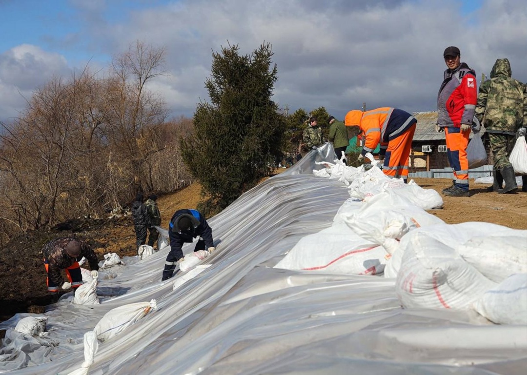 Открыт прием заявок на получение нагрудного знака «Доброволец России» за волонтерскую деятельность