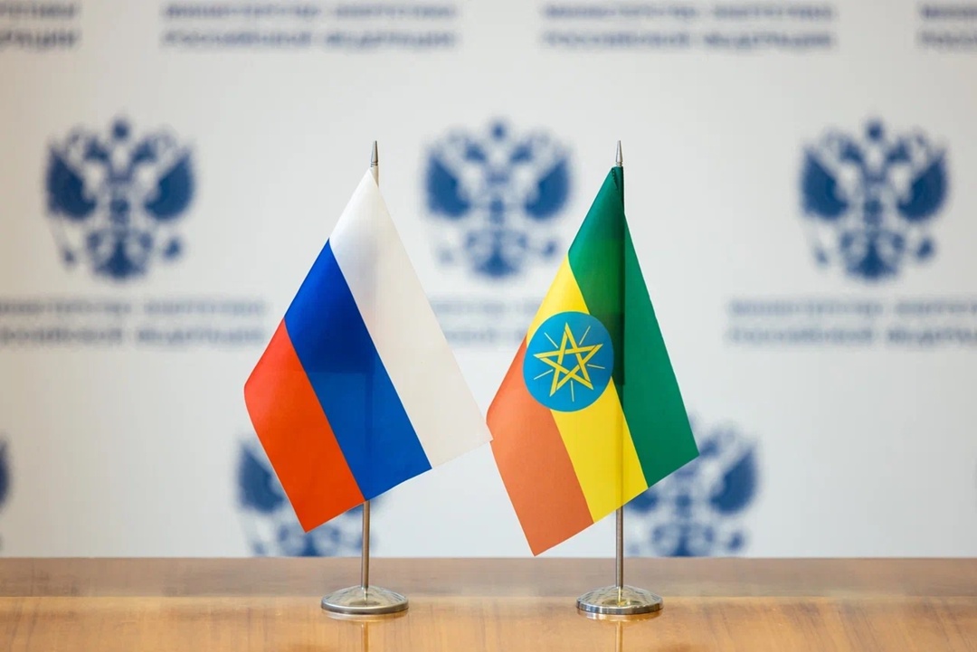 Россия и Эфиопия укрепляют сотрудничество в области энергетики