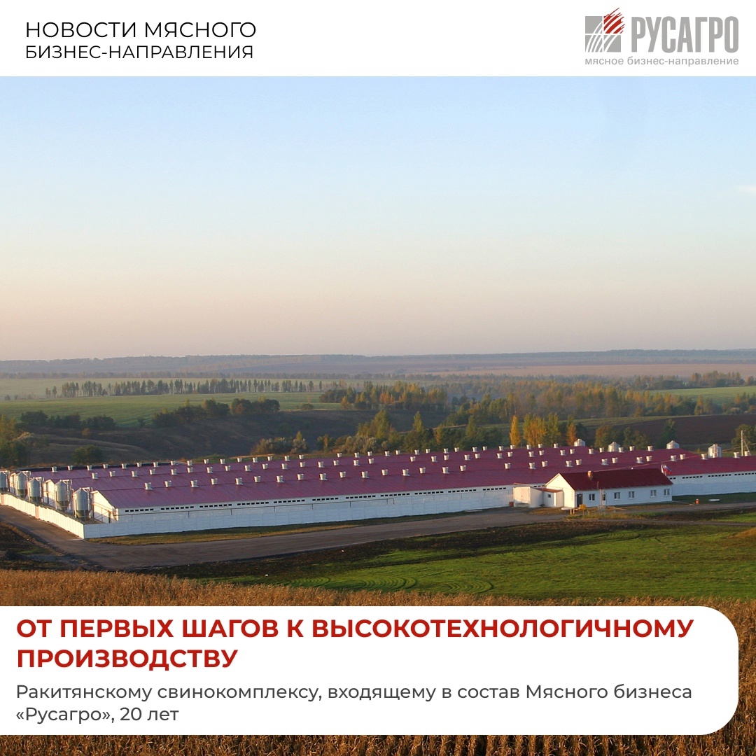 В этом году Ракитянский свинокомплекс Группы компаний «Агро-Белогорье», которая входит в Мясной бизнес «Русагро», отмечает 20-летний юбилей