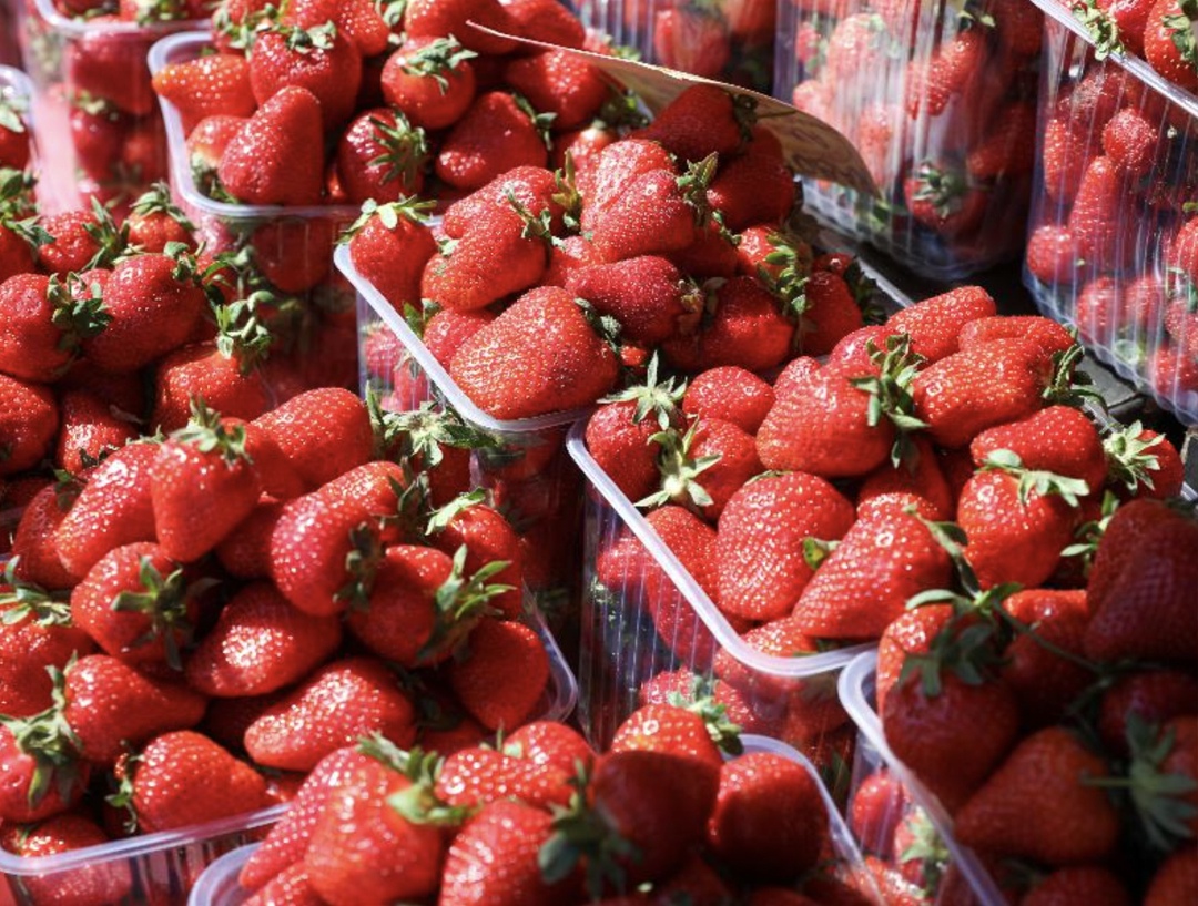 В этом году ситуация с земляникой садовой (клубникой) в целом по России обстоит ощутимо лучше, чем в 2024-м, когда самые жесткие заморозки пришлись на первую…