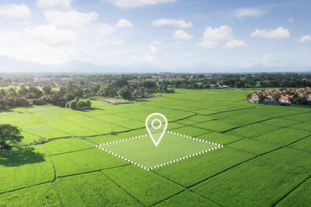 Правительство утвердило перечень признаков, согласно которым земельные участки из состава земель населенных пунктов, садовых земельных участков и огородных…