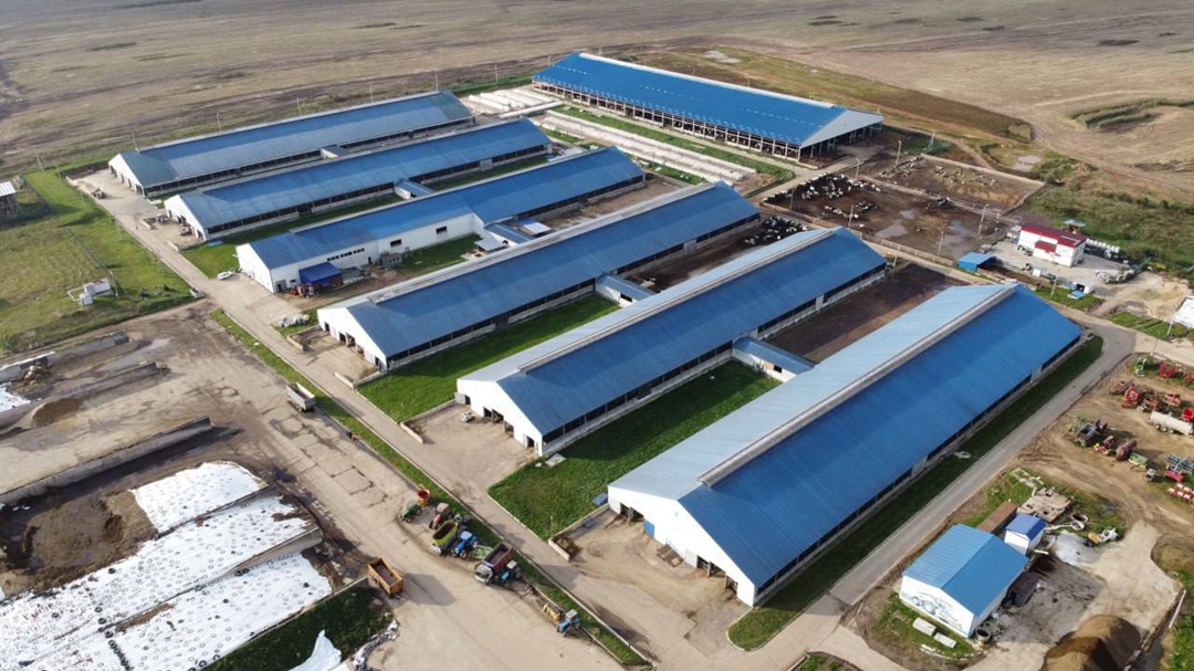 В Смоленской области продолжается расширение молочного комплекса «Золотая Нива», сообщил губернатор региона Василий Анохин в своем Телеграм-канале. На…