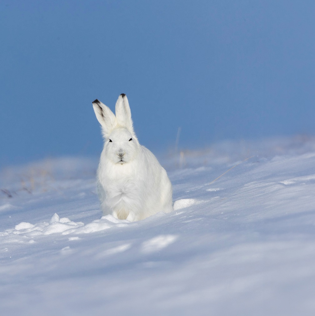 «Главное в работе — это команда. Люди — основа всего», — считает Андрей Вычужин, старший мастер на нашем Новопортовском месторождении в Арктике