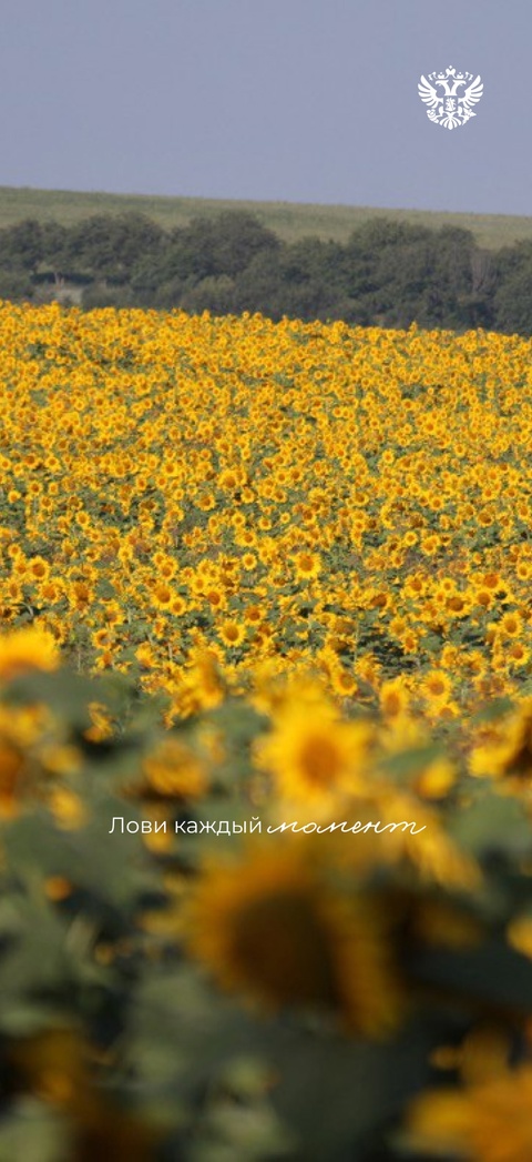 Лета мало не бывает: ловите нашу подборку заставок с фотографиями такой большой и разной России с портала Путешествуем.РФ