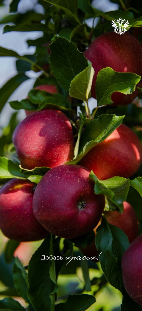 Лета мало не бывает: ловите нашу подборку заставок с фотографиями такой большой и разной России с портала Путешествуем.РФ