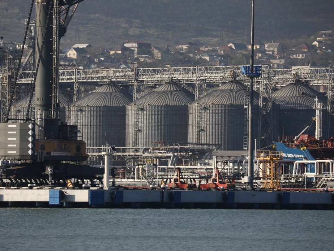 Закупочные цены на российскую пшеницу с протеином 12,5% в глубоководных портах уменьшились до 16,5-16,8 тыс. руб./т ($209) с 16,8-17 тыс. руб./т ($210) неделей…