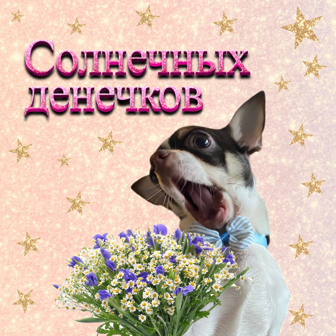 Марафон о финансах для старшего поколения от Финансовой культуры и Одноклассников