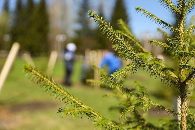 С Днем эколога! Масштабная экологическая стратегия – один из ключевых приоритетов нашей компании