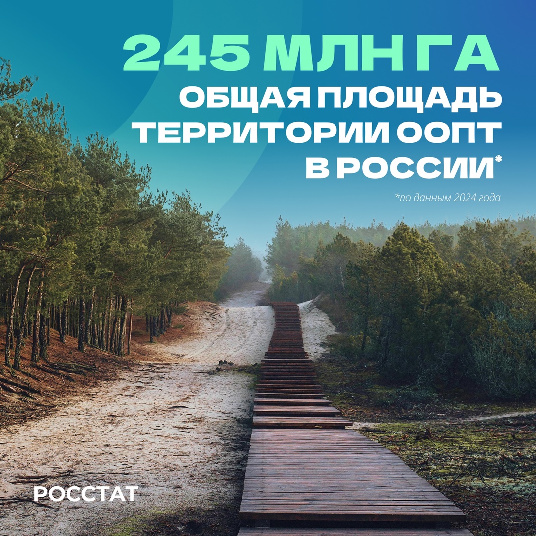 День эколога – берегите природу сегодня и каждый день!