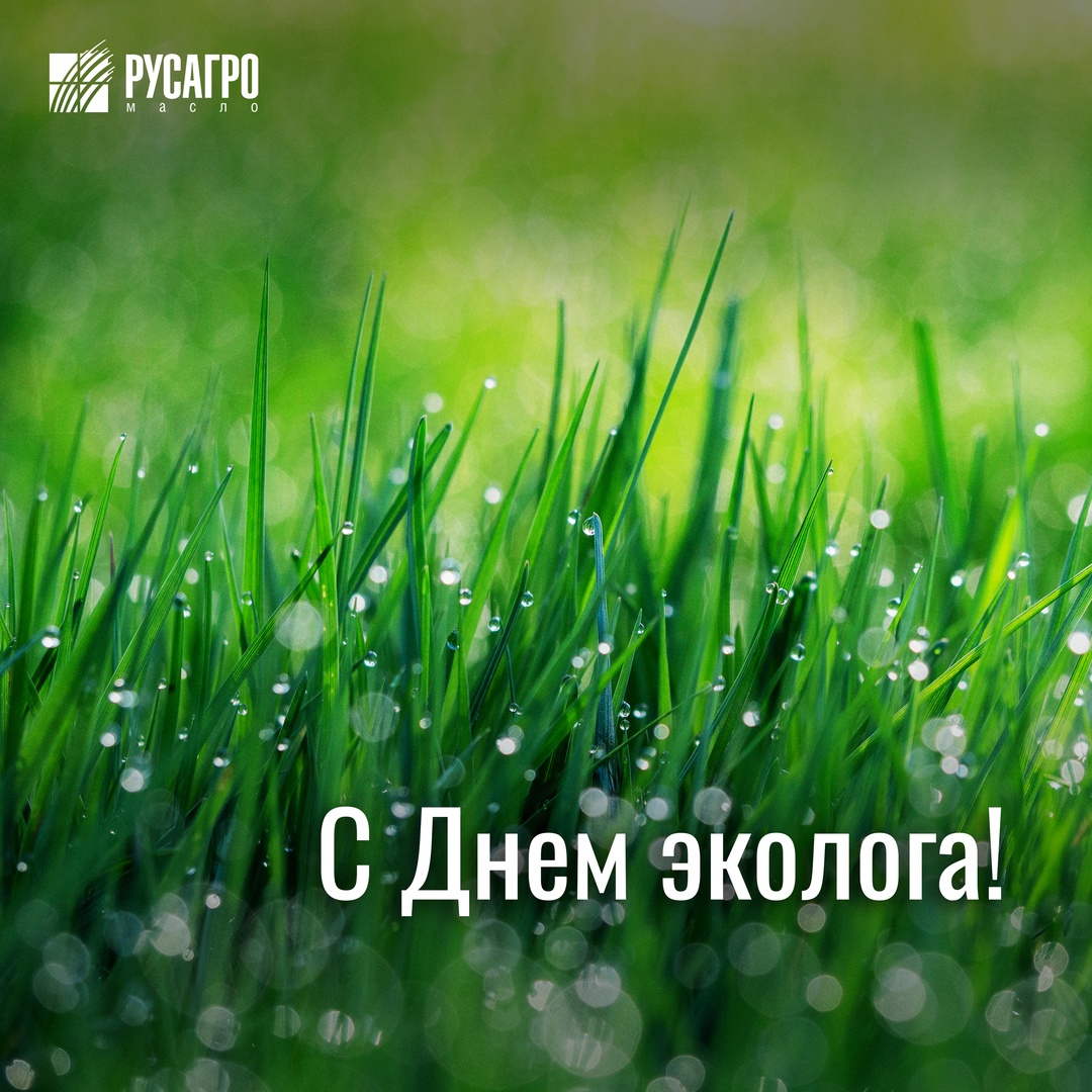 Сегодня в нашей стране отмечается профессиональный праздник специалистов по охране окружающей среды — День эколога.