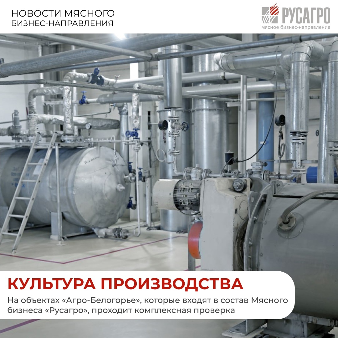 На производственных объектах ГК «Агро-Белогорье», входящих в состав Мясного бизнеса «Русагро», стартовала комплексная проверка культуры производства