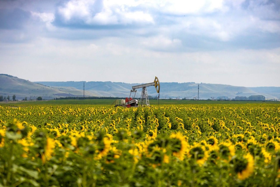 5 июня — День эколога! Для «Татнефти» экология — не просто слово, а ключевой приоритет и неотъемлемая часть нашей ежедневной деятельности