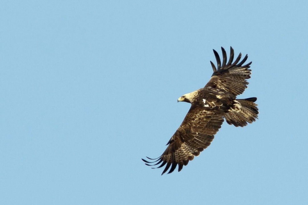 5 июня — День эколога! Для «Татнефти» экология — не просто слово, а ключевой приоритет и неотъемлемая часть нашей ежедневной деятельности