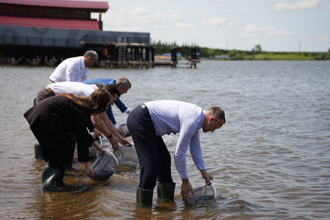 «Татнефть» построила «Экомост» Так называлось мероприятие, посвященное Дню эколога