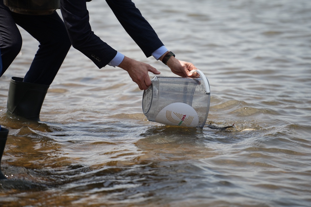 «Татнефть» построила «Экомост» Так называлось мероприятие, посвященное Дню эколога