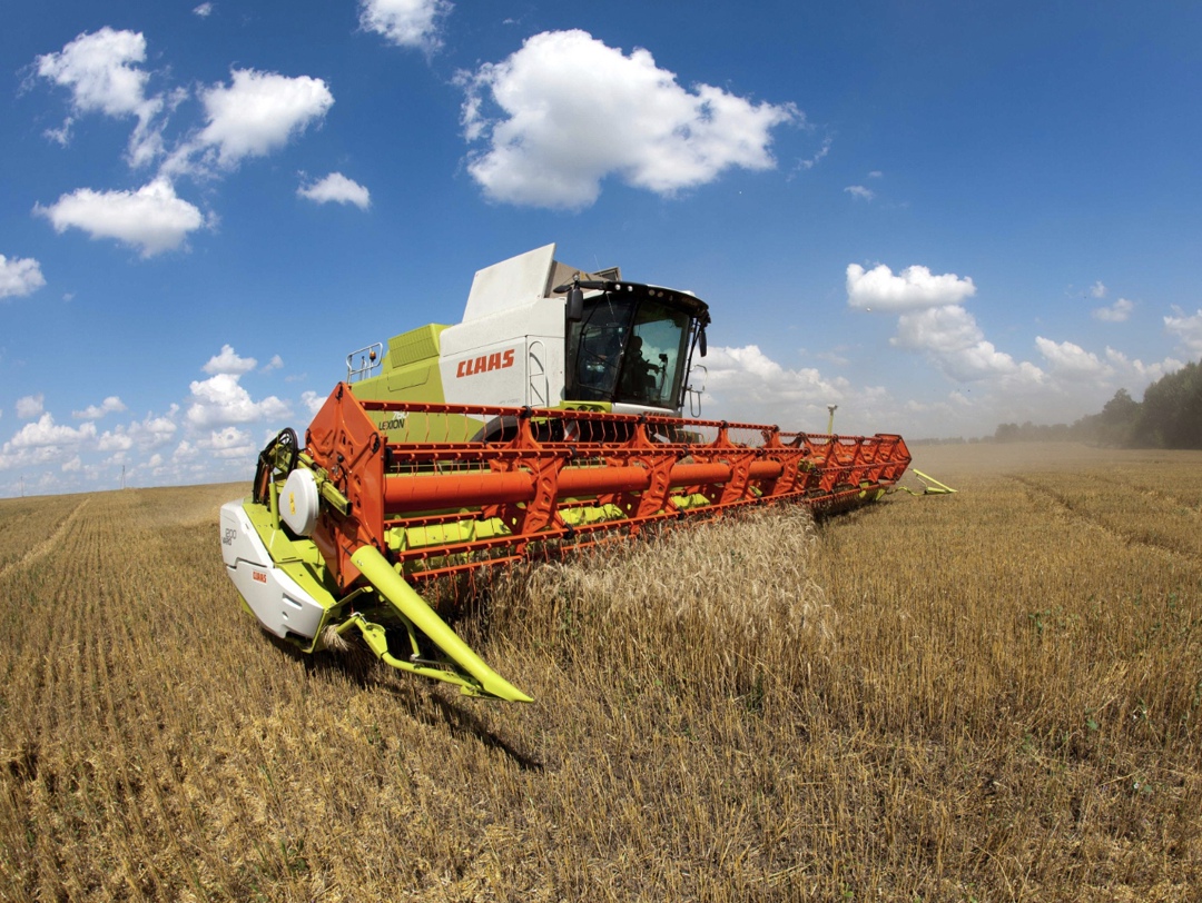 В Крыму началась уборочная кампания, сообщил Минсельхоз республики. По прогнозу, валовой сбор зерновых и зернобобовых в регионе составит 1,1 млн т, годовая…