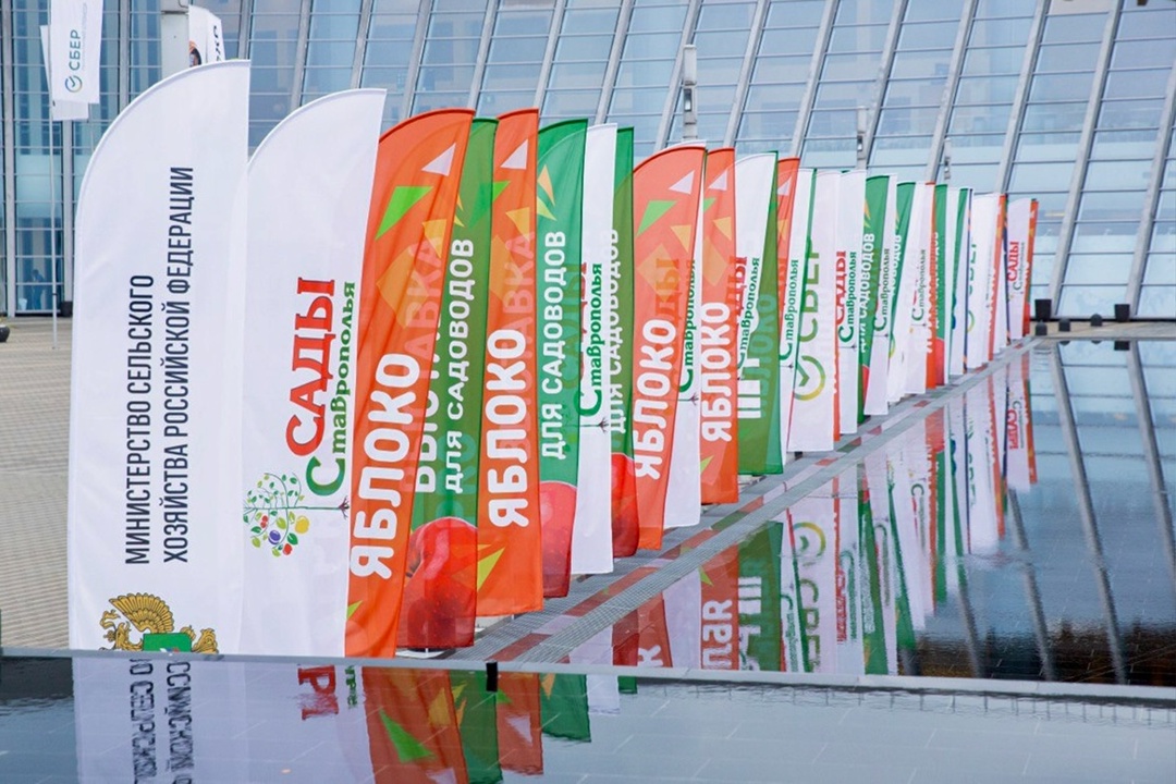 PRO ЯБЛОКО: САДЫ РОССИИ На следующей неделе в Ставропольском крае пройдет одно из крупнейших событий в сфере садоводства и питомниководства – международная…