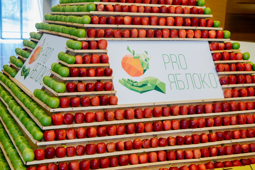 PRO ЯБЛОКО: САДЫ РОССИИ На следующей неделе в Ставропольском крае пройдет одно из крупнейших событий в сфере садоводства и питомниководства – международная…