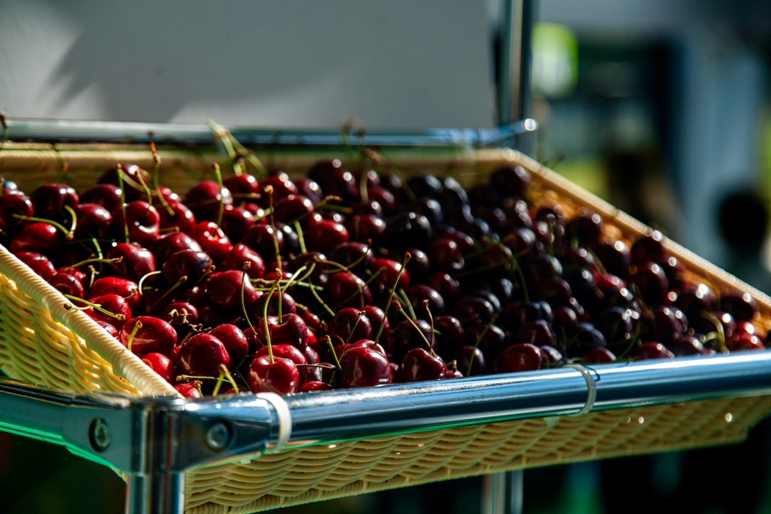 PRO ЯБЛОКО: САДЫ РОССИИ На следующей неделе в Ставропольском крае пройдет одно из крупнейших событий в сфере садоводства и питомниководства – международная…