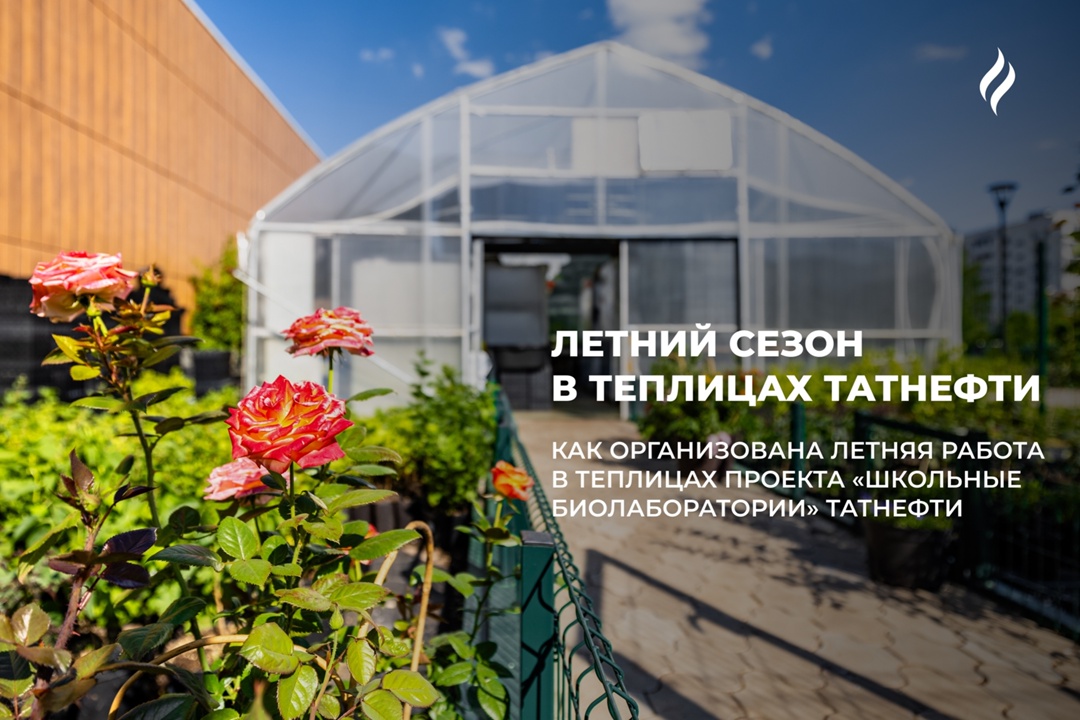Внутри зеленого мира «Татнефти» Теплицы при школьных биолабораториях — это увлекательный мир, в котором можно не только изучать науку, но и самому…