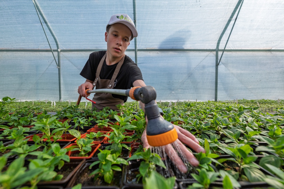 Внутри зеленого мира «Татнефти» Теплицы при школьных биолабораториях — это увлекательный мир, в котором можно не только изучать науку, но и самому…