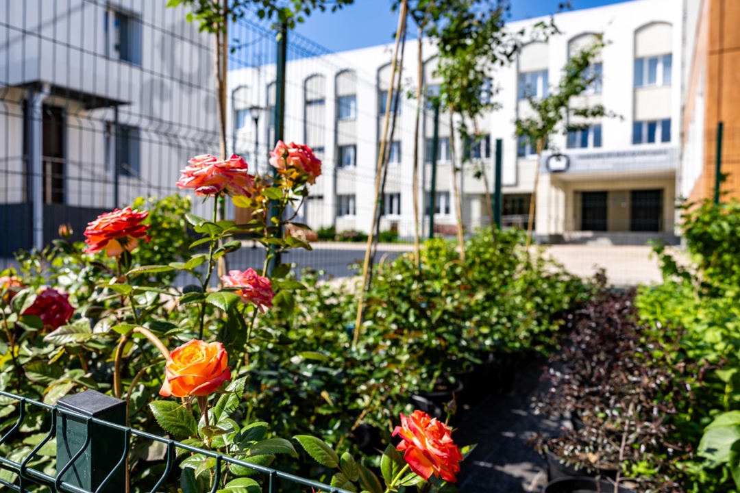 Внутри зеленого мира «Татнефти» Теплицы при школьных биолабораториях — это увлекательный мир, в котором можно не только изучать науку, но и самому…